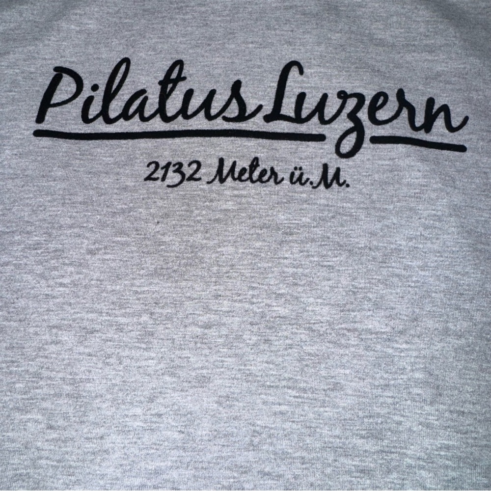 Authentic Kollektion Pilatus Luzern Gray Plaid Hem Long Sleeve Top XL - Picture 6 of 9